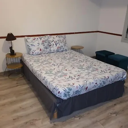 Avec Piscine Chauffée Proche Toulouse Centre Villa *