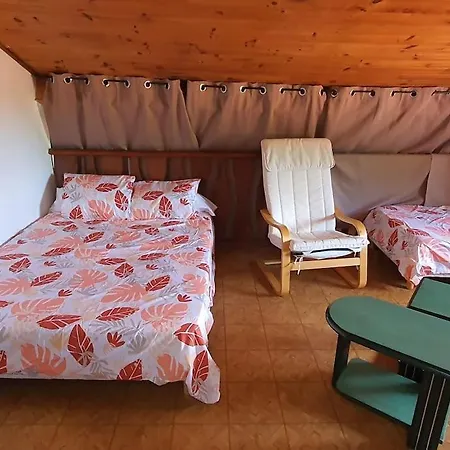 Avec Piscine Chauffée Proche Toulouse Centre LʼUnion