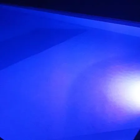 Avec Piscine Chauffée Proche Toulouse Centre *