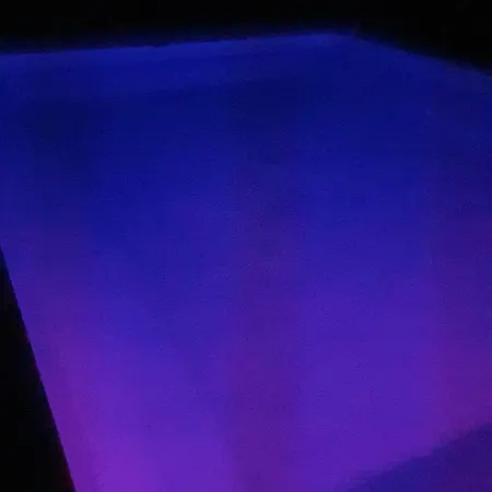 Avec Piscine Chauffée Proche Toulouse Centre Villa *