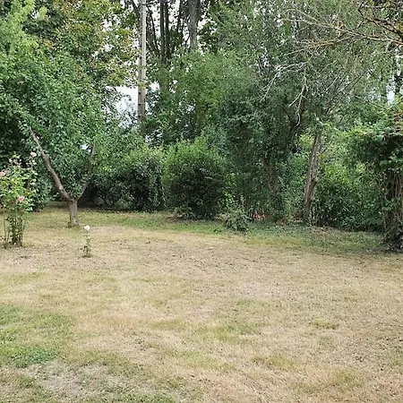 Avec Piscine Chauffee Proche Toulouse Centre Villa *